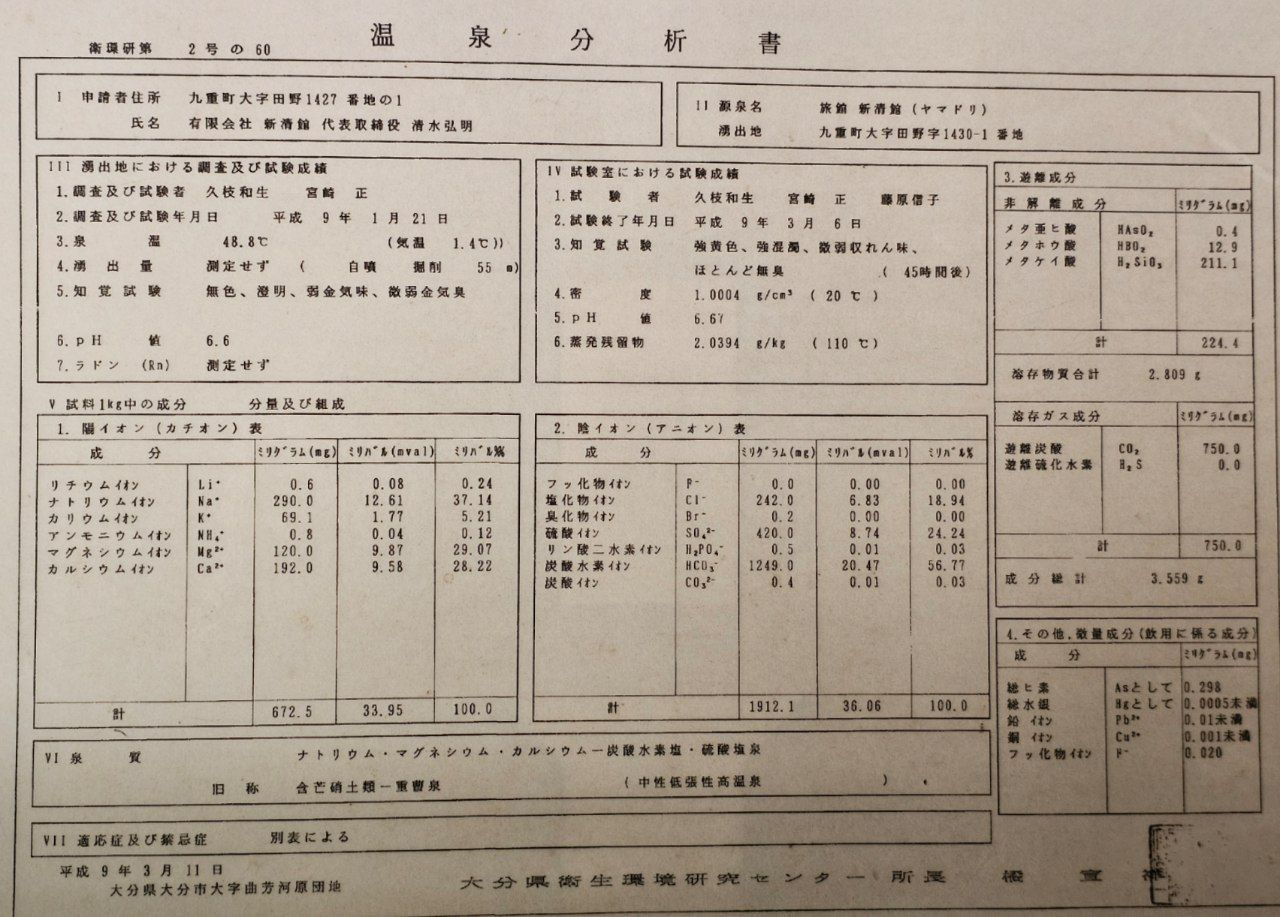 Shinseikan ryokan Ukenokuchi onsen — photo 5