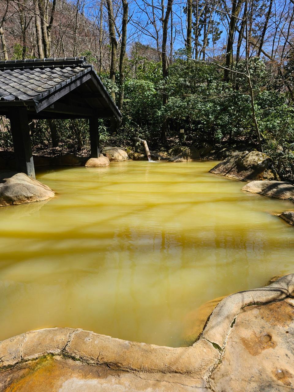 Shinseikan ryokan Ukenokuchi onsen — photo 6