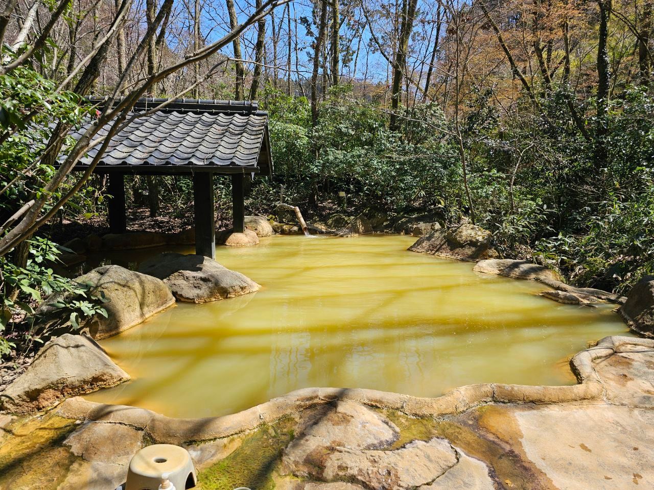 Shinseikan ryokan Ukenokuchi onsen — photo 7