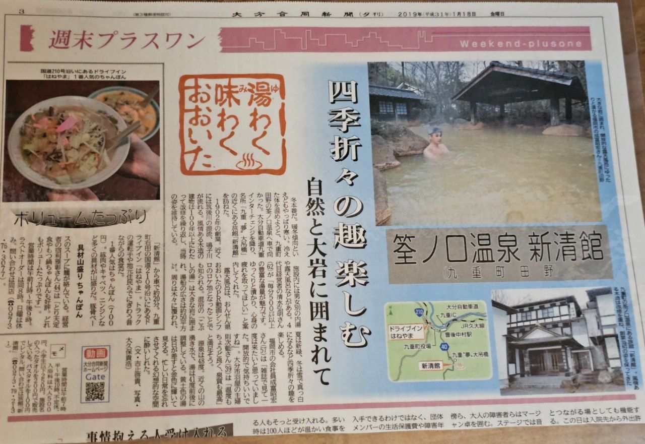 Shinseikan ryokan Ukenokuchi onsen — photo 2