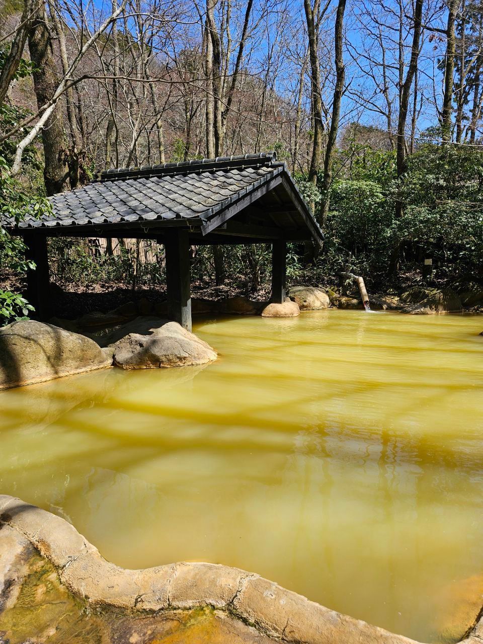 Shinseikan ryokan Ukenokuchi onsen — photo 10