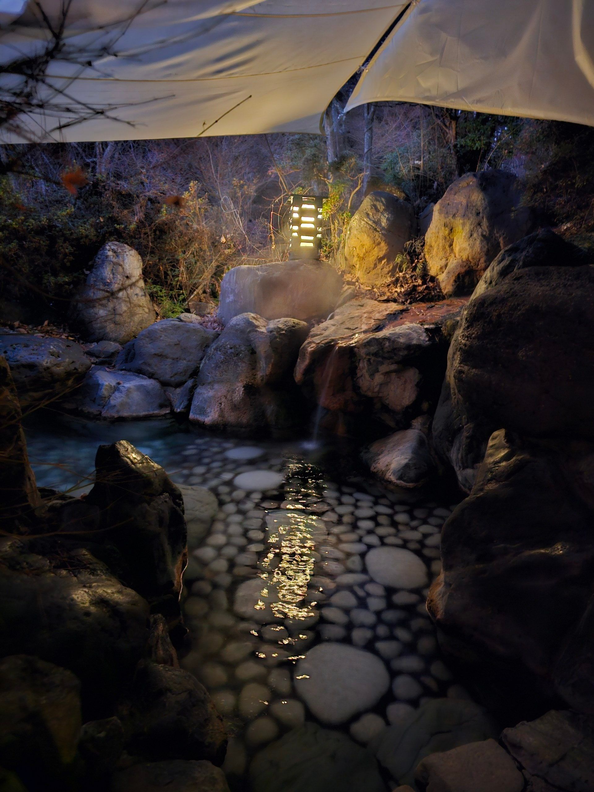 Shima Tamura, photo 17