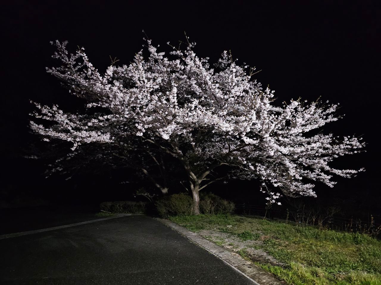 Ebisudani onsen — photo 1