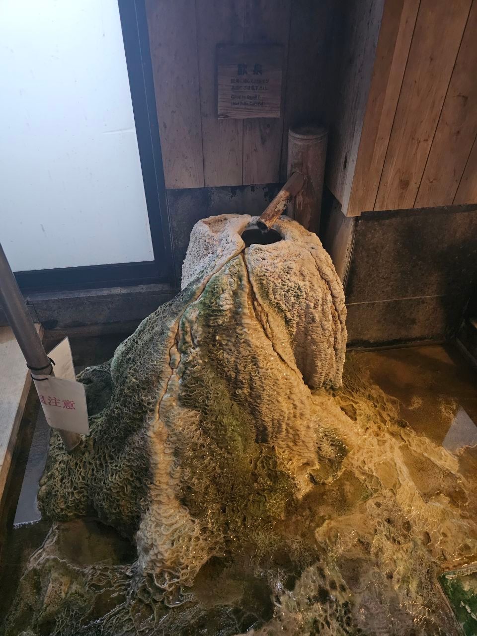 Kawayu-Onsen Fujiya — photo 15