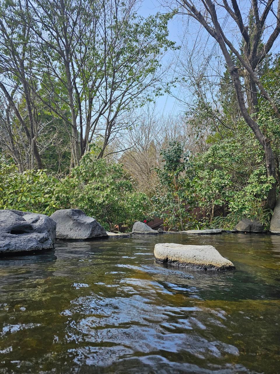Iyashi no Sato Kiyashiki — photo 7