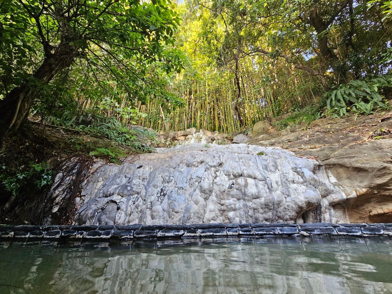 Yukai Resort Shirahama Gyoen — photo 7