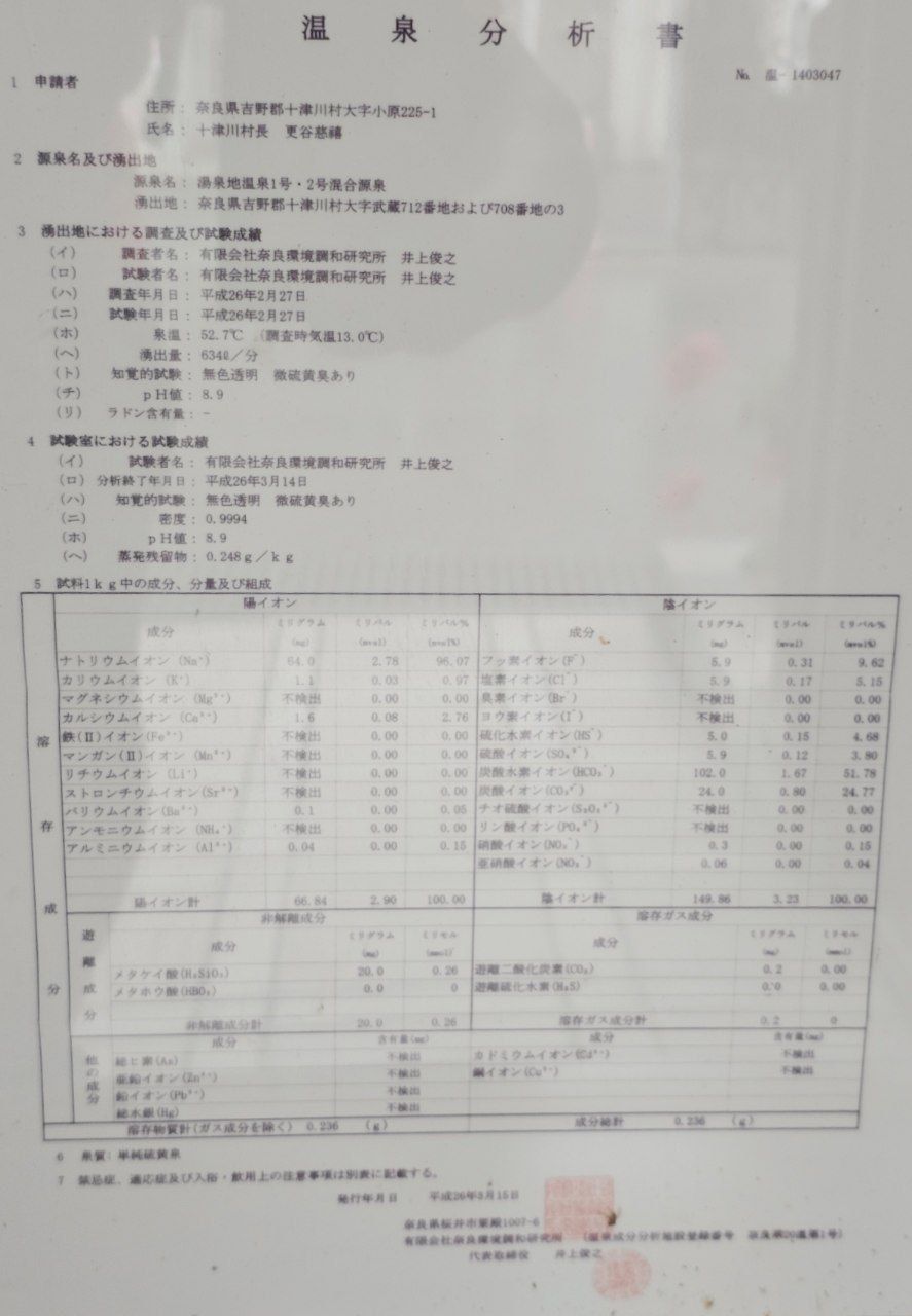 Tosenji Onsen Public Bath Izumiyu — photo 9