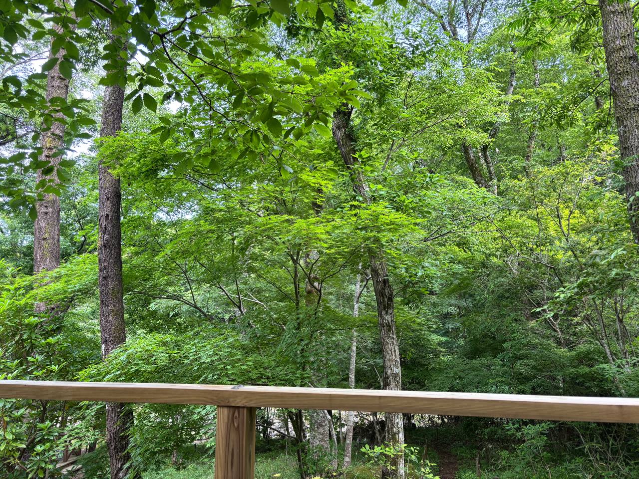 Only Yu Hot Spring Resort — photo 2