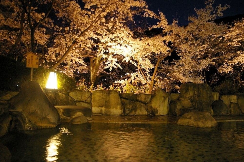 BOSENKAN, photo 5