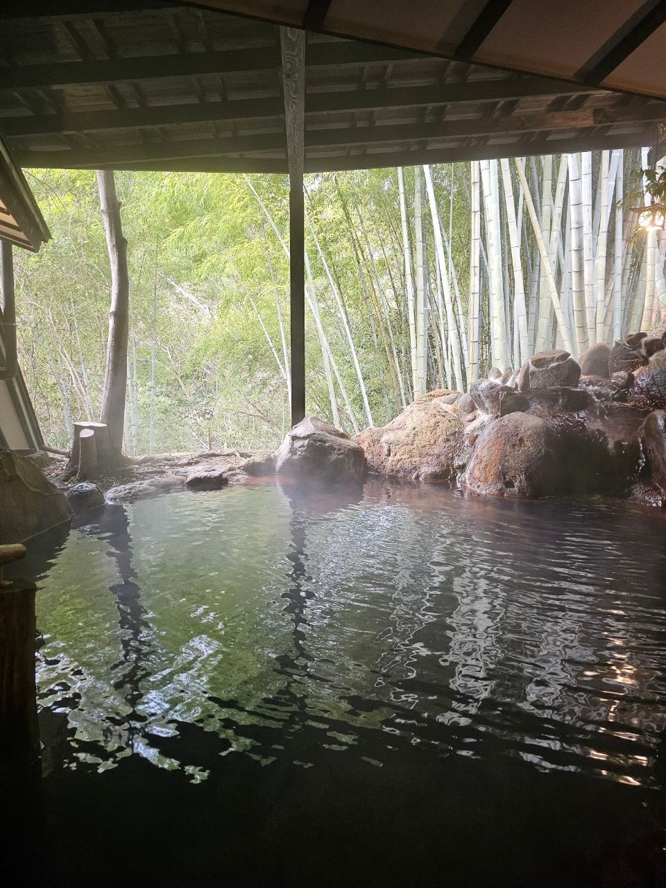 Ryokan Yumotoso, photo 2