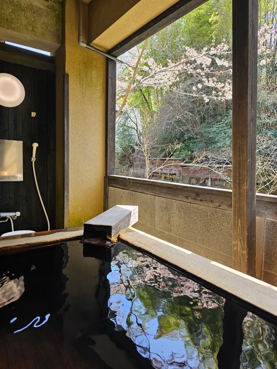 Ryokan Yumotoso, photo 6