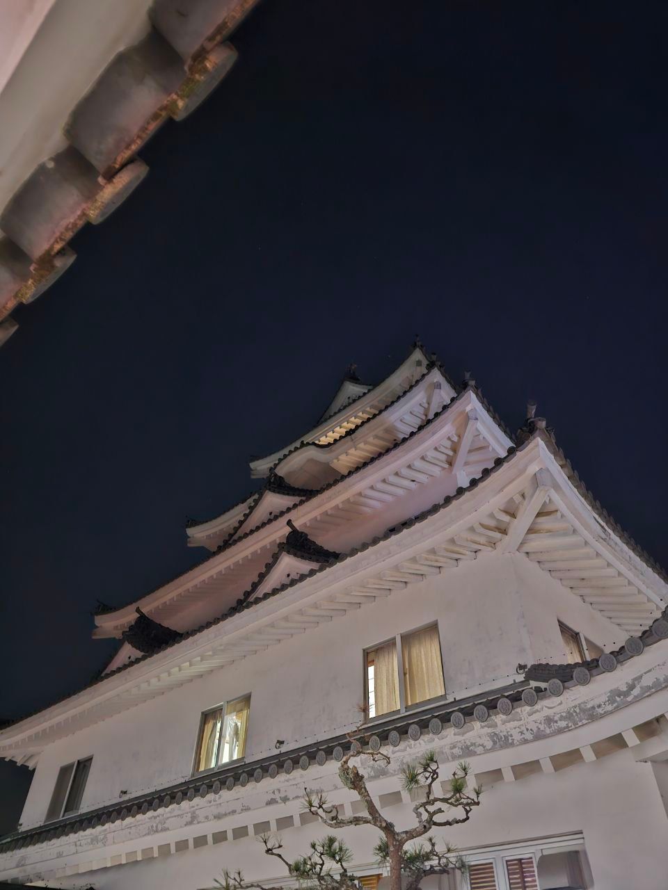 Yuasa Castle Onsen Hotel — photo 4