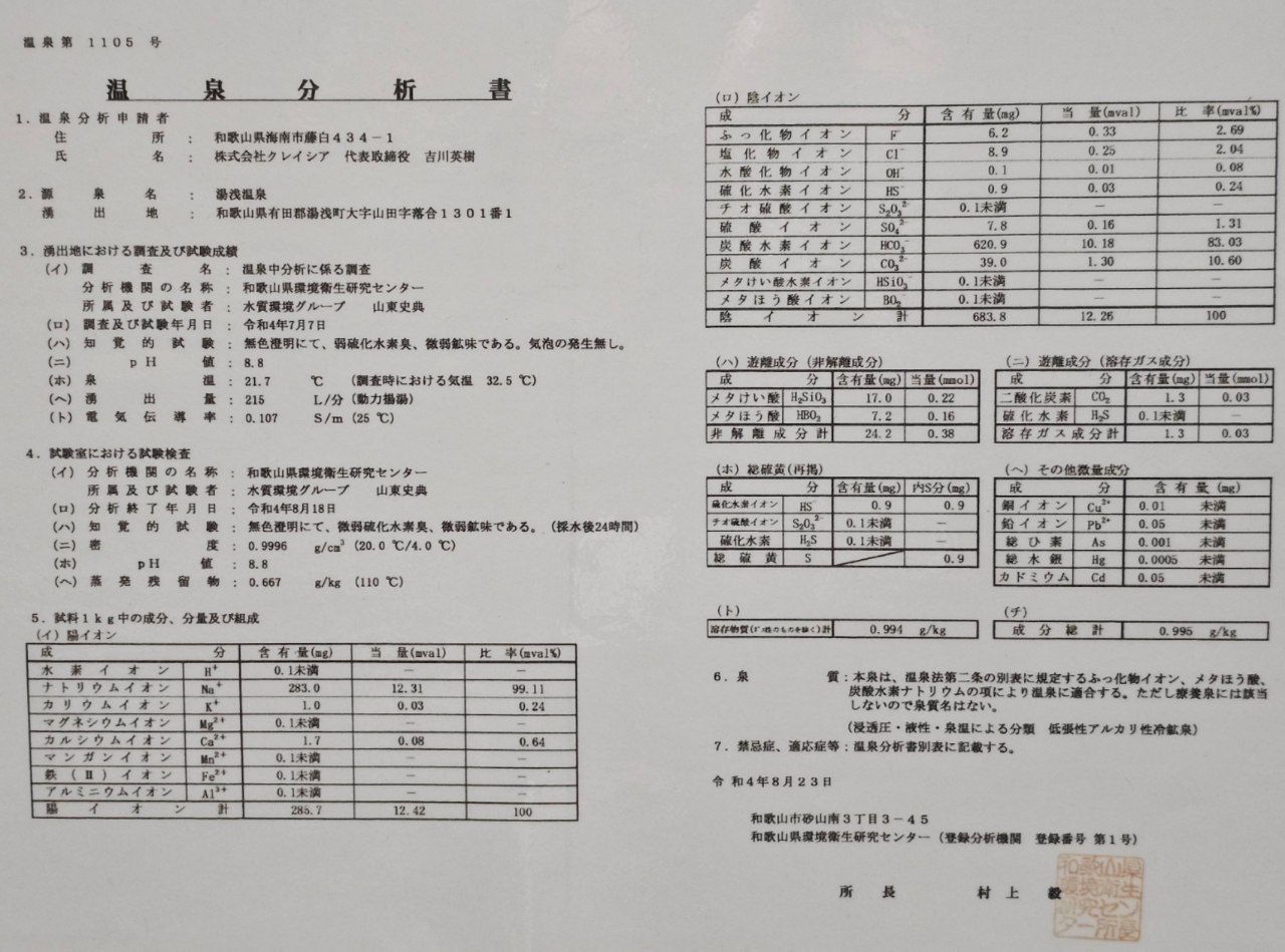 Yuasa Castle Onsen Hotel — photo 10