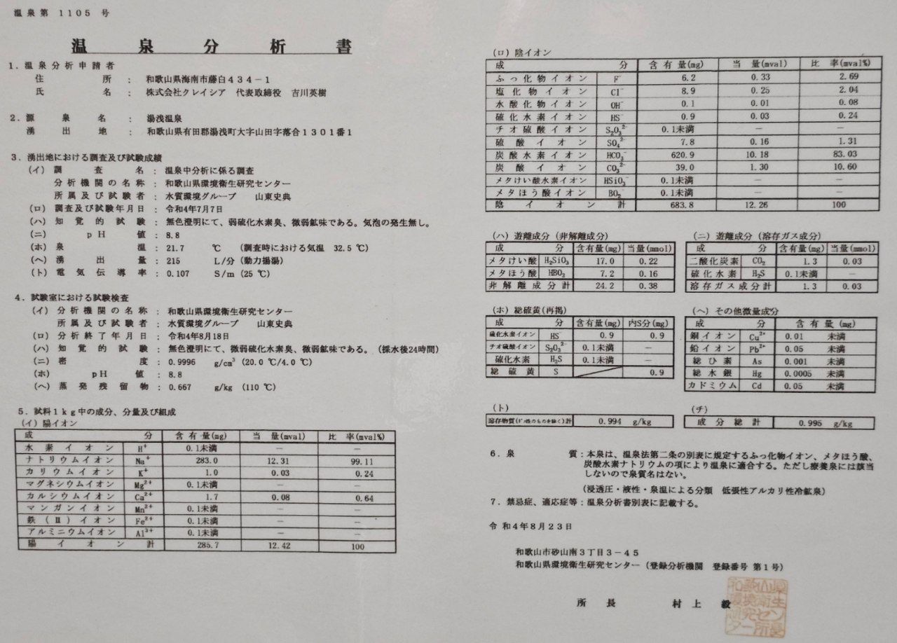 Yuasa Castle Onsen Hotel — photo 15