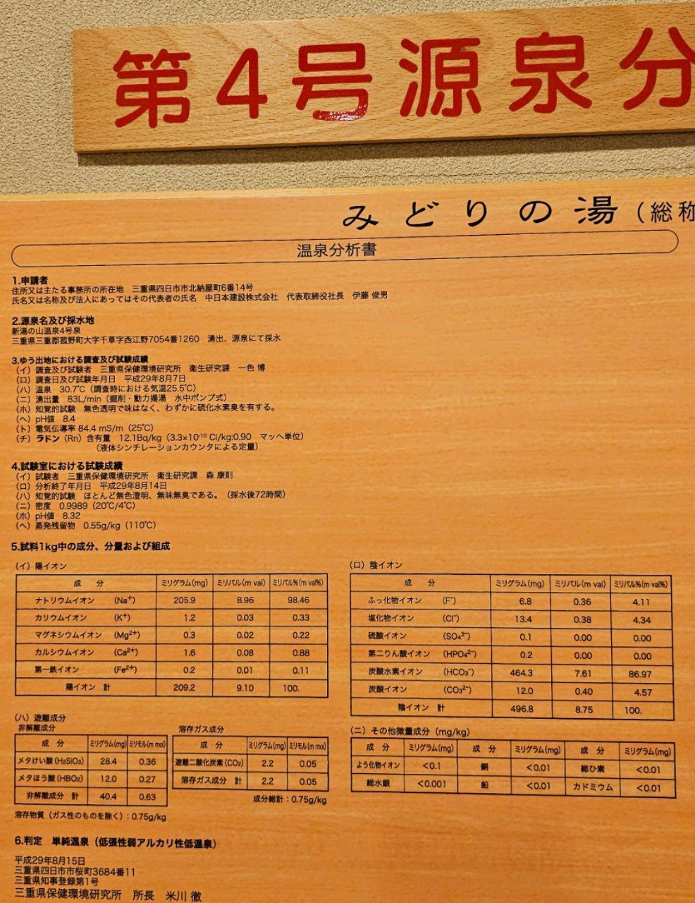 Green Hotel — photo 19