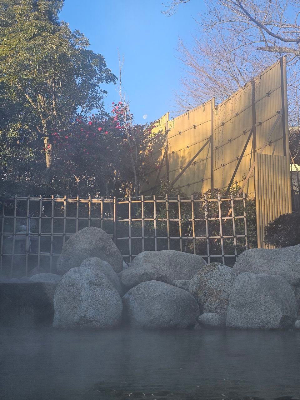 Green Hotel — photo 18