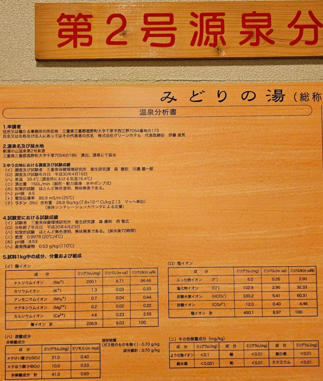 Green Hotel — photo 15