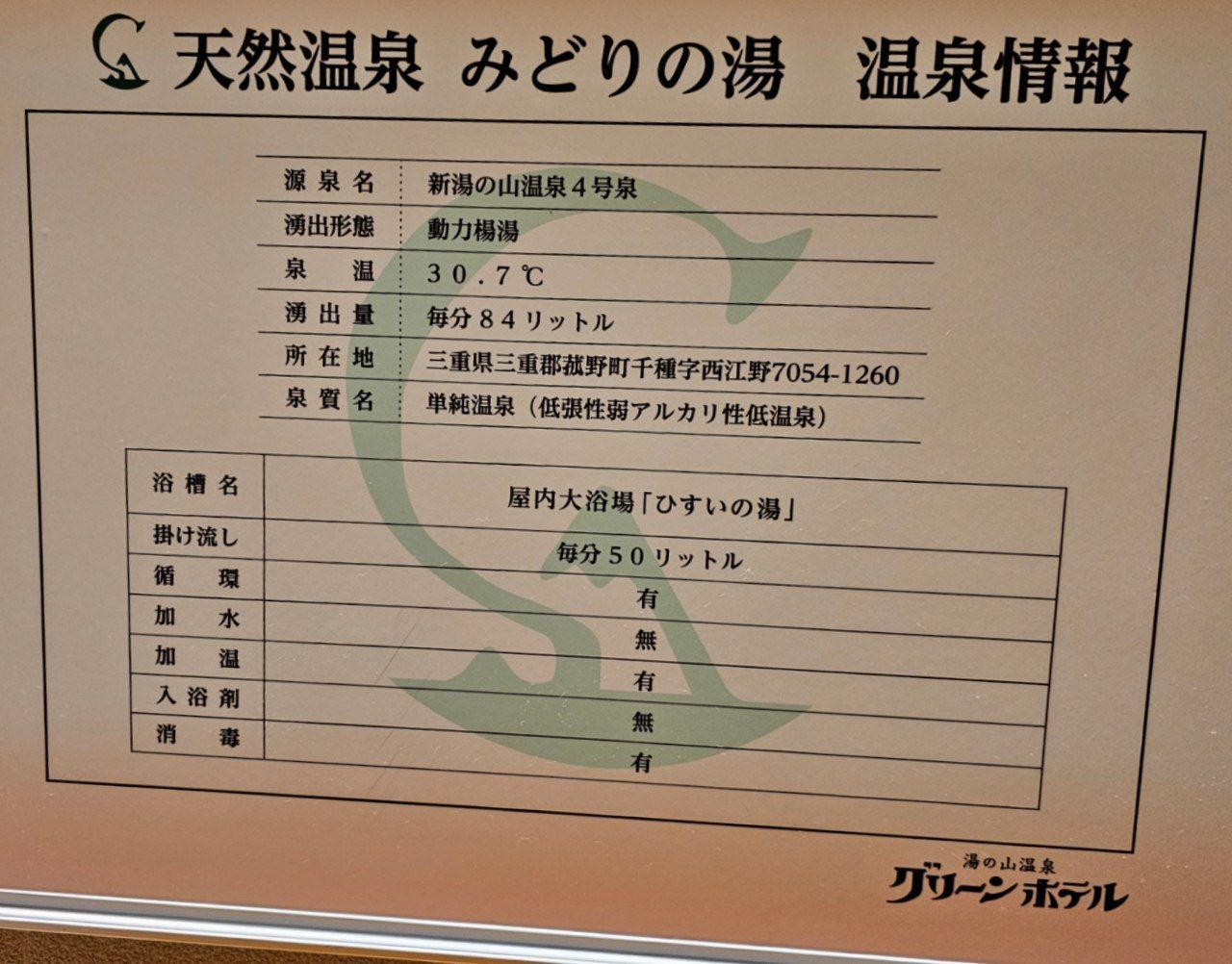 Green Hotel — photo 6