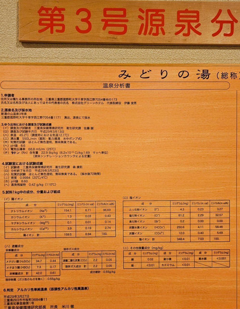 Green Hotel — photo 17
