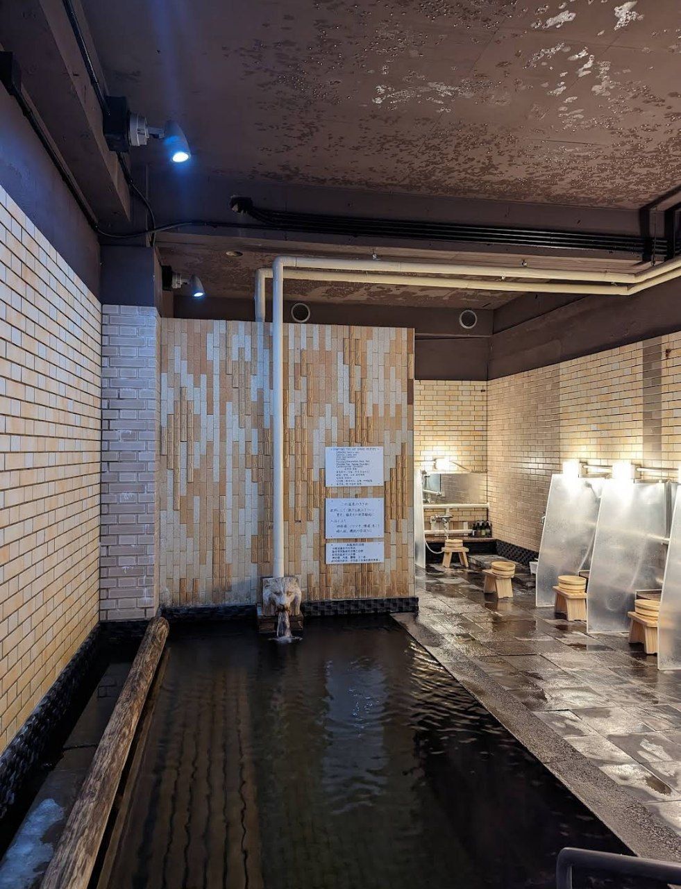 Hitoyoshi Ryokan — photo 8