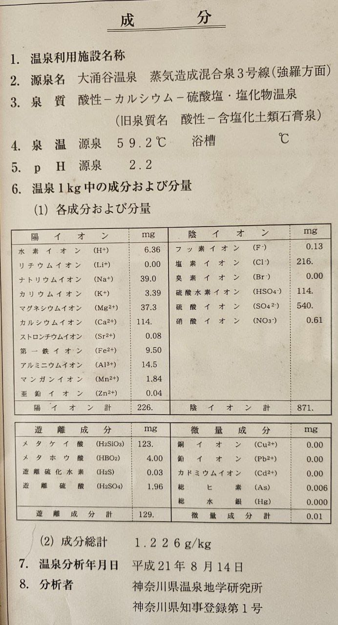 Onsen Hotel Gorakan — photo 4