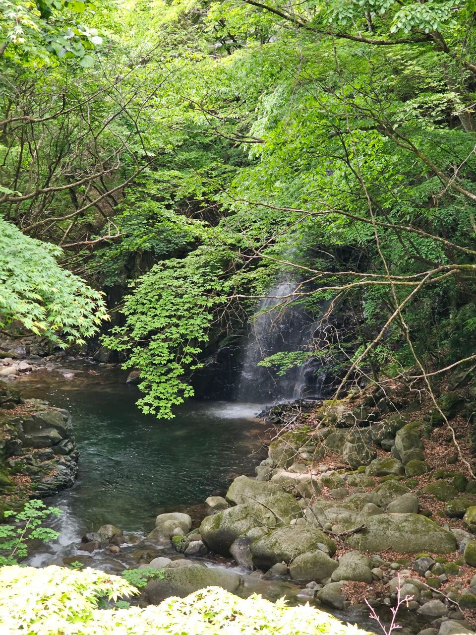 Hakuryukaku — photo 6