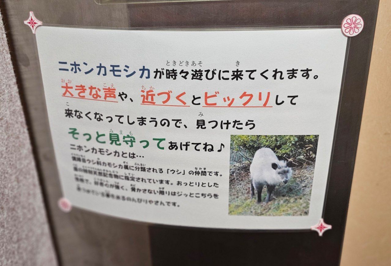 Yadori Onsen Iyashinoyu — photo 2