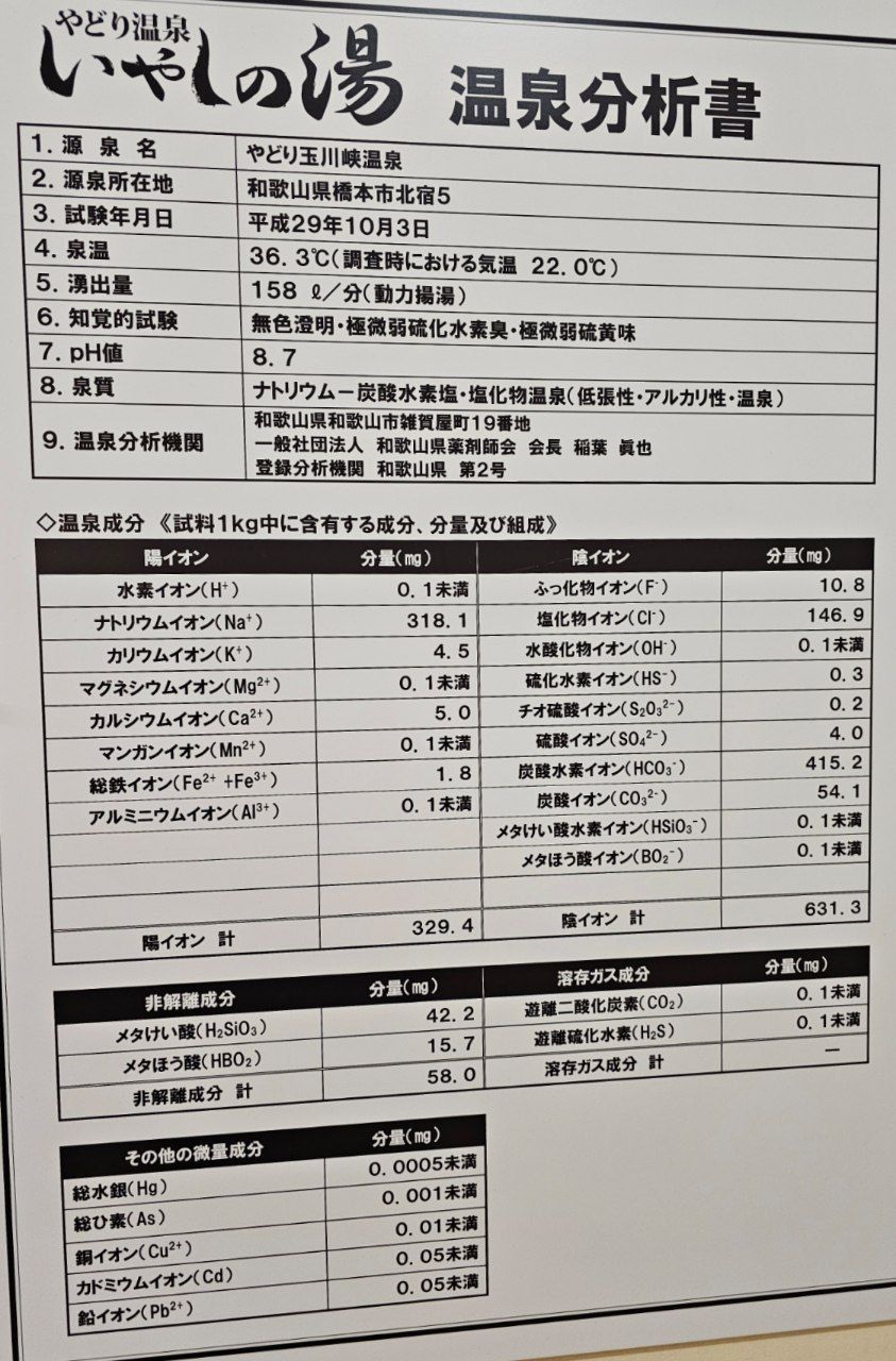 Yadori Onsen Iyashinoyu — photo 3
