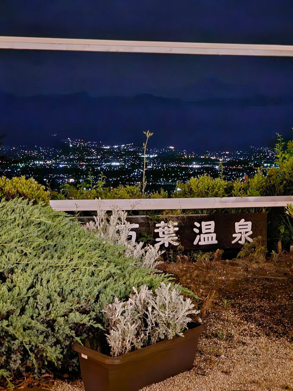 Fruit Park Fujiya Hotel — photo 9