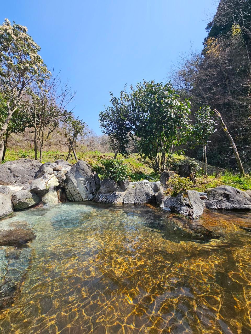 Kurokawa Onsen Ryokan Ichi No I — photo 8