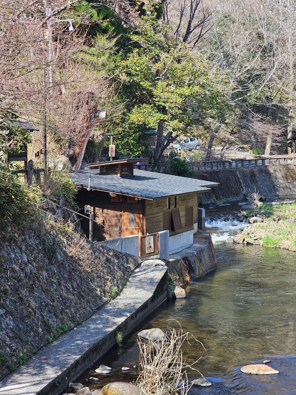 Anayu — photo 1