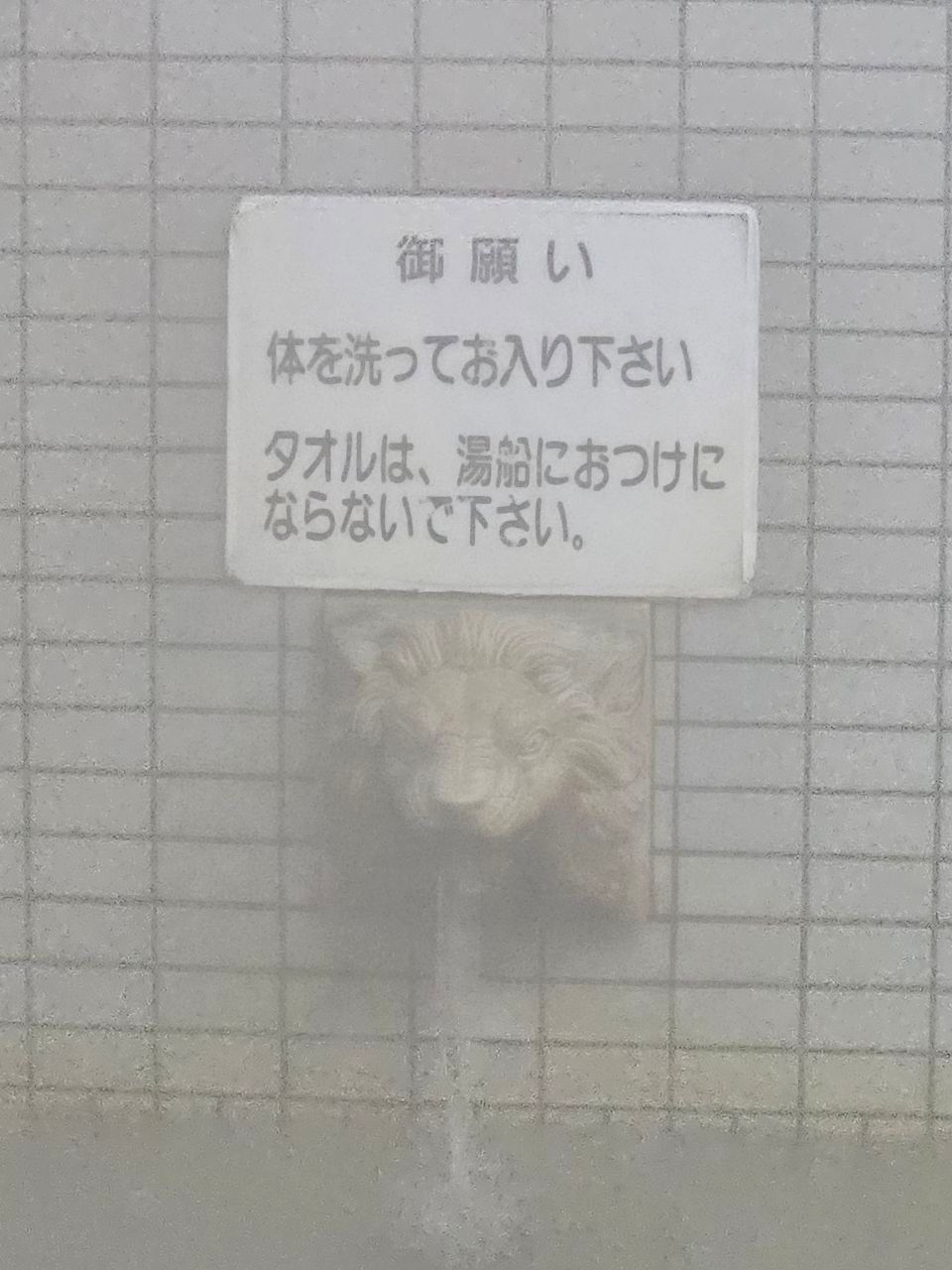 Kamenoko Onsen — photo 4