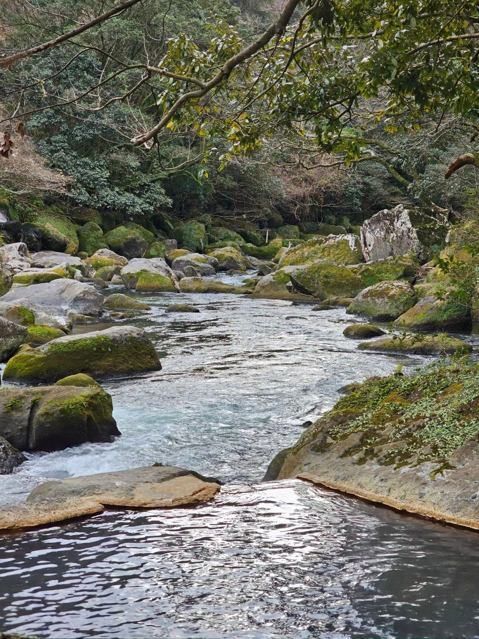 Myoken Ishiharaso — photo 5