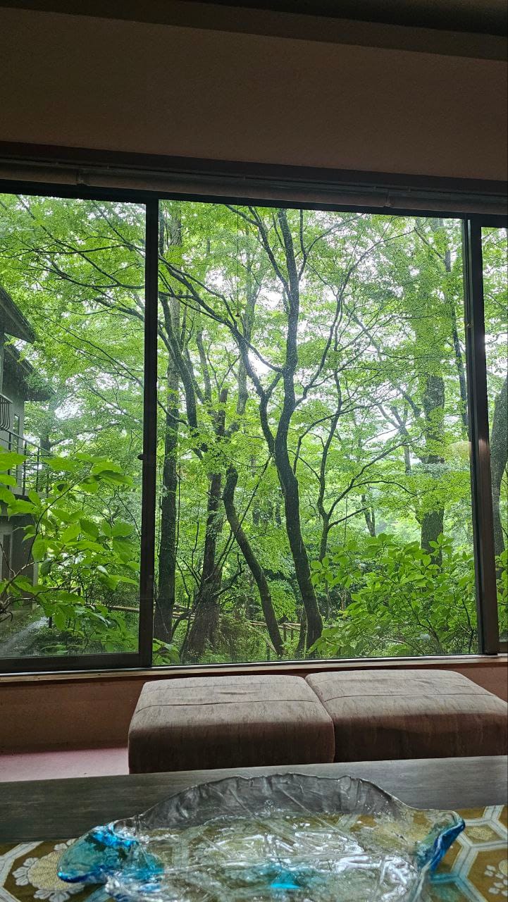 Hakone Onsen Sanso Nakamura — photo 7
