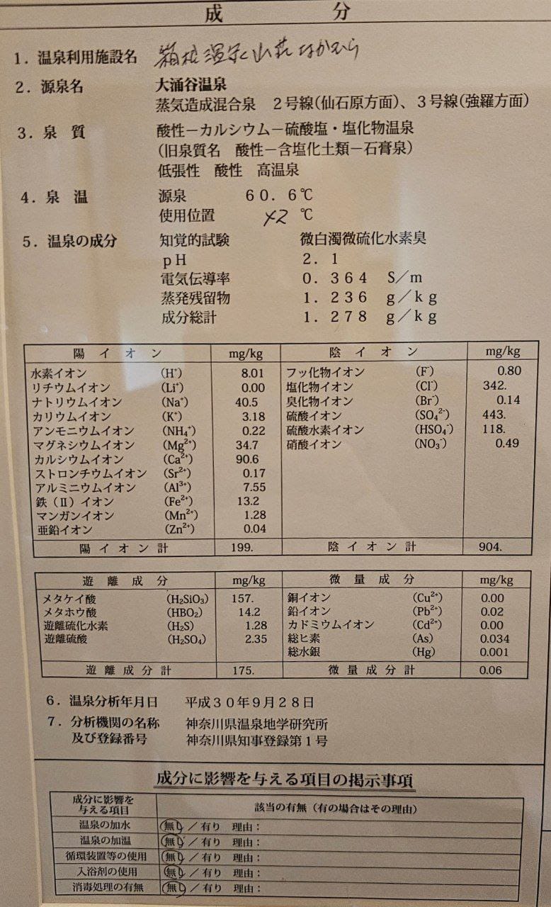 Hakone Onsen Sanso Nakamura — photo 2