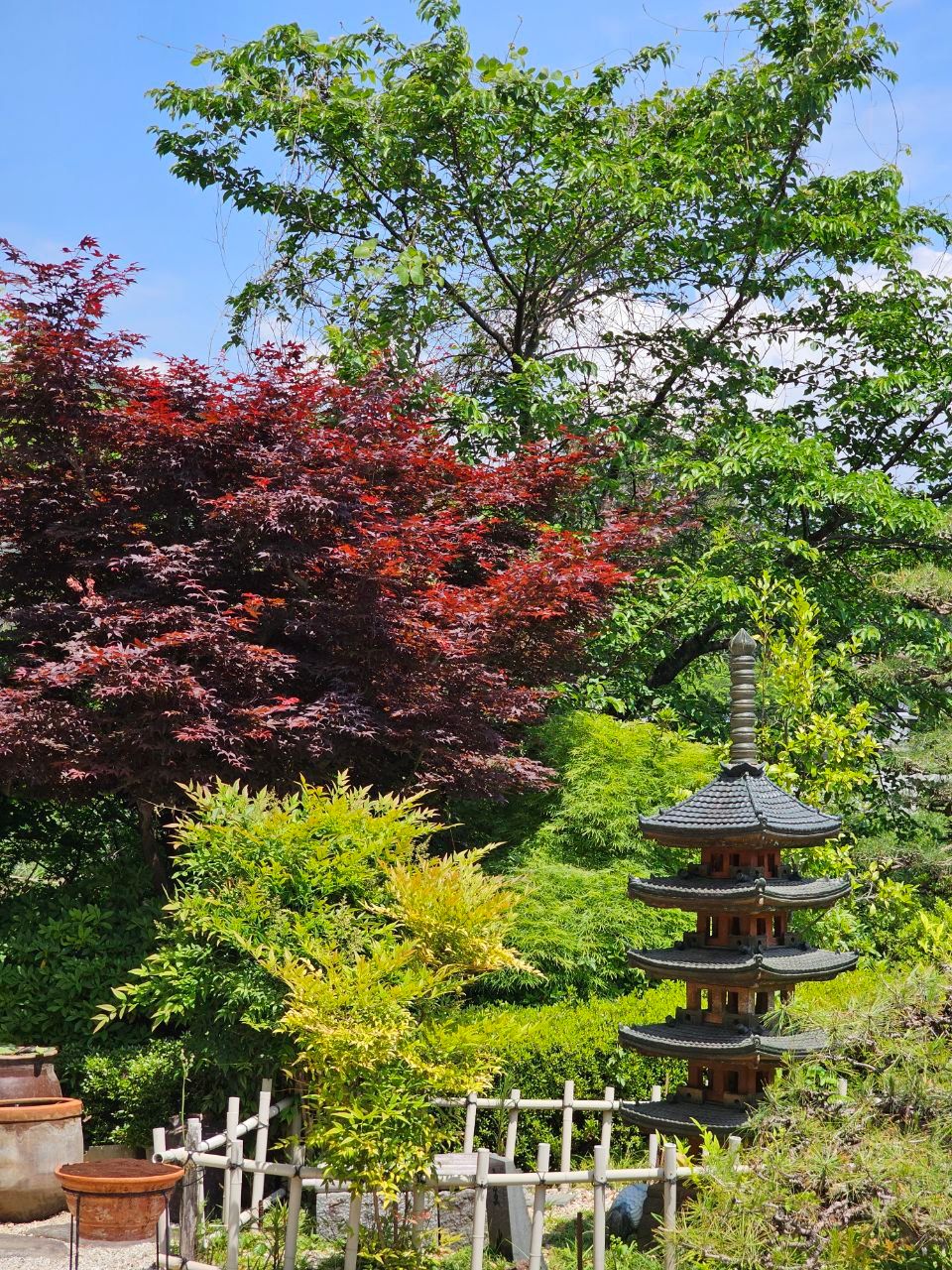 Hayabusa Hot Spring — photo 2