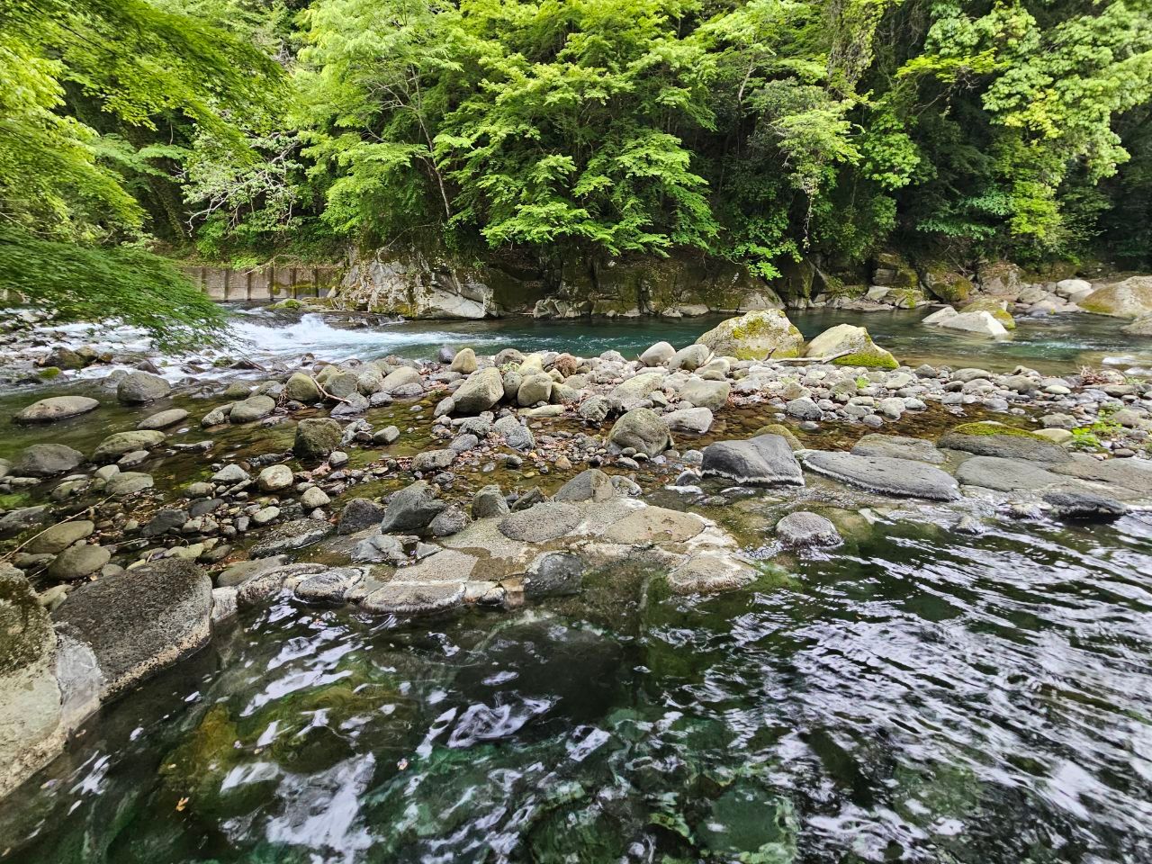 Yumotokan — photo 7