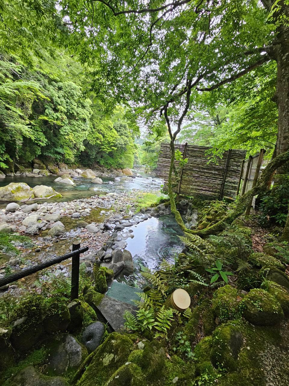 Yumotokan — photo 11