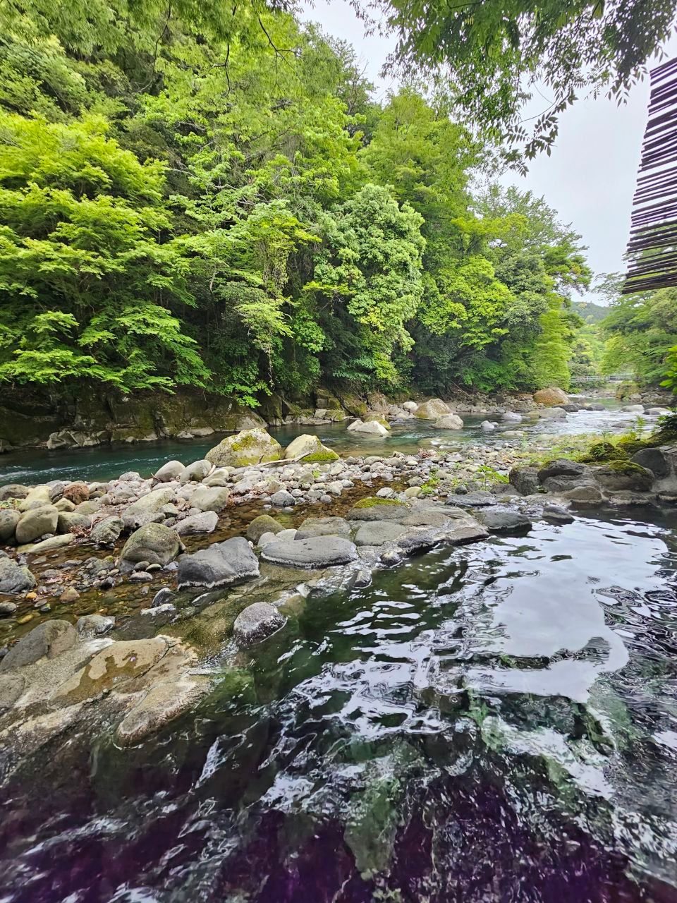 Yumotokan — photo 9