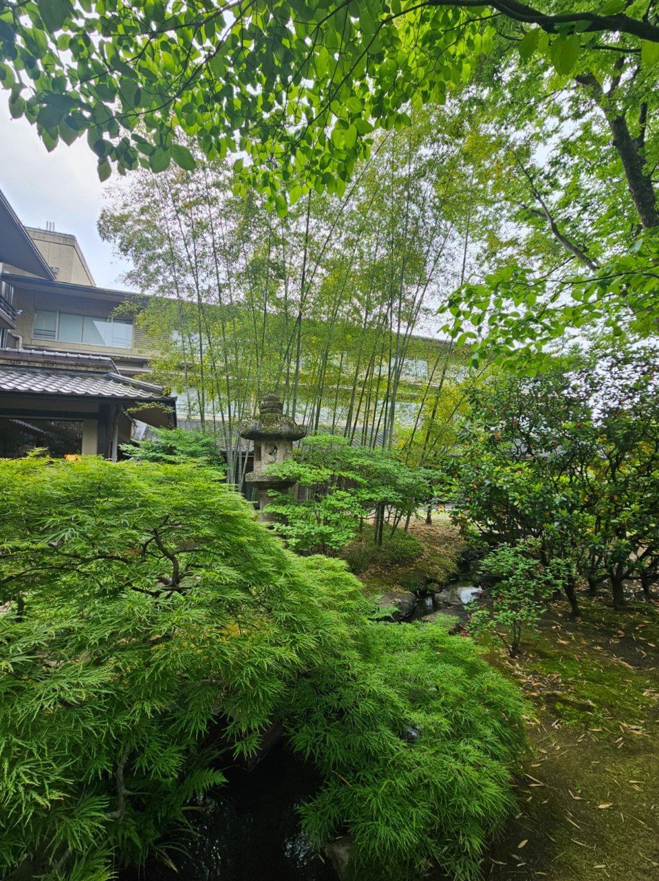 Yumura Tokiwa Hotel — photo 7