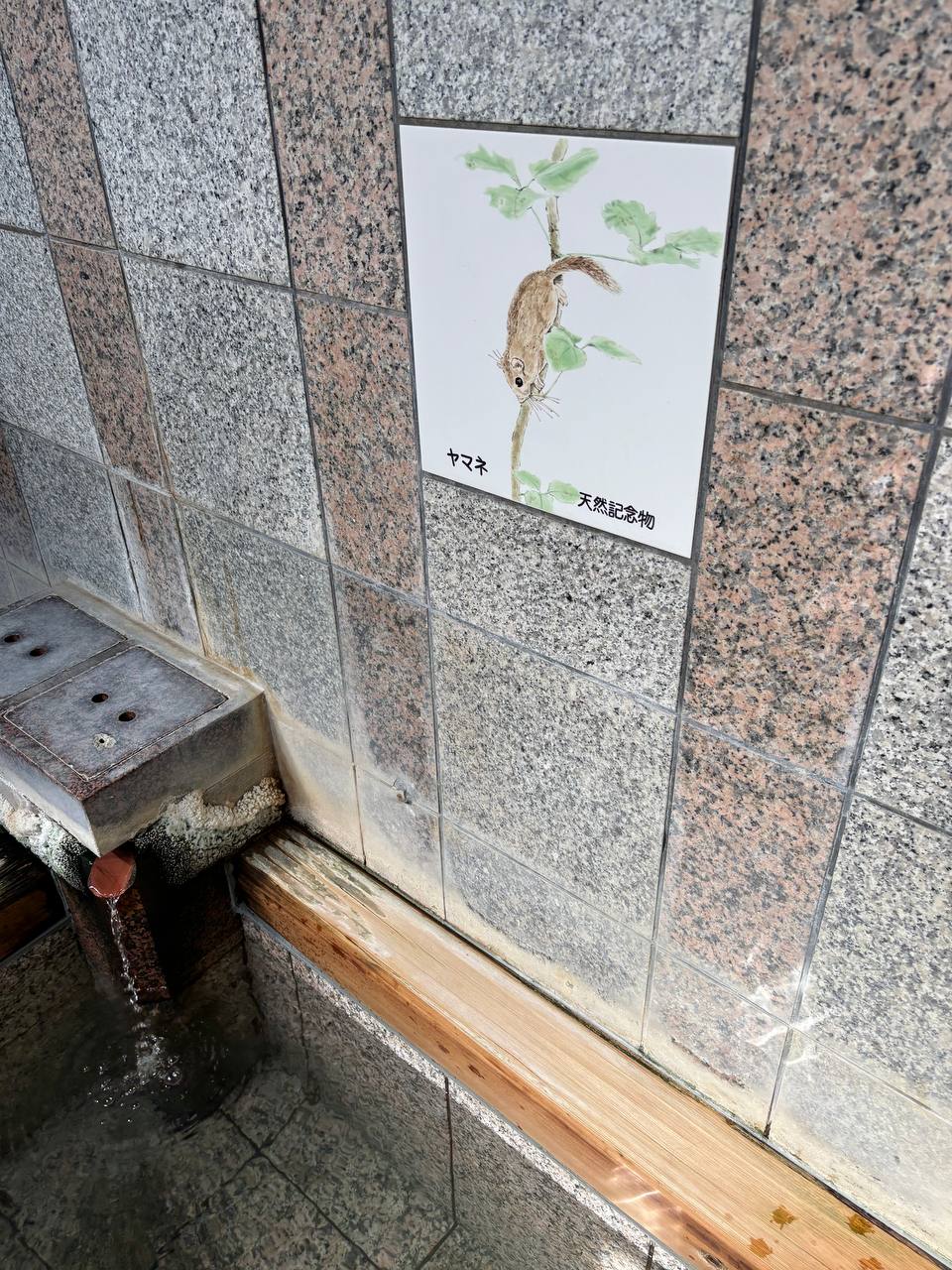 Kami-no-yu Public Bath — photo 4