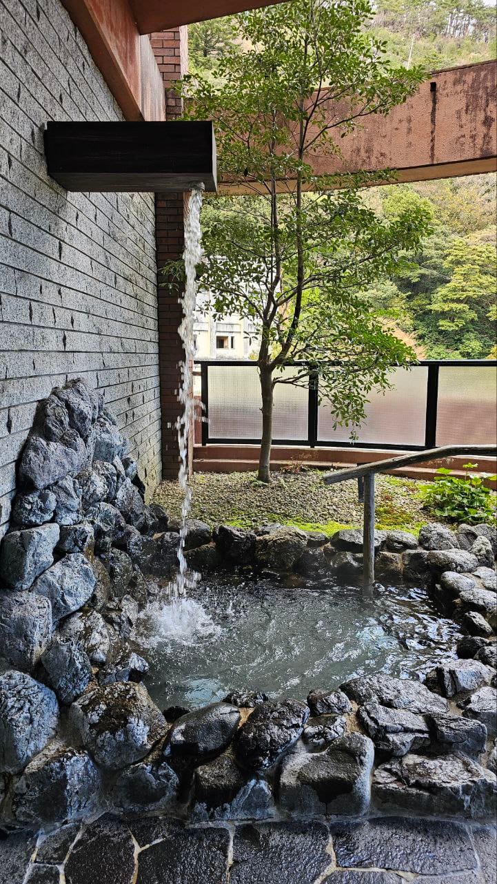 Hôtel de Marronnier Yunoyama Onsen — photo 3