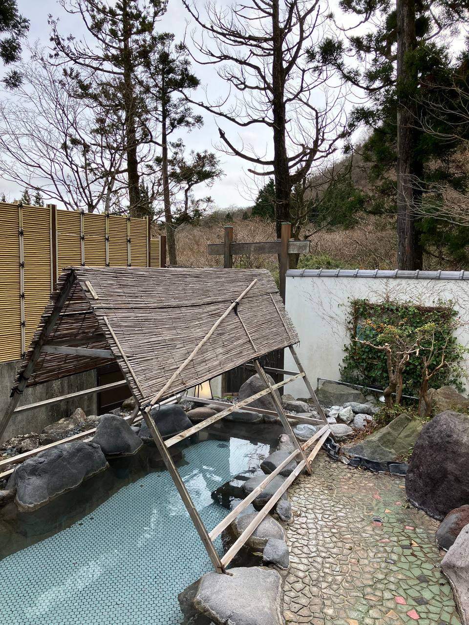 Kinokuniya Ryokan — photo 3