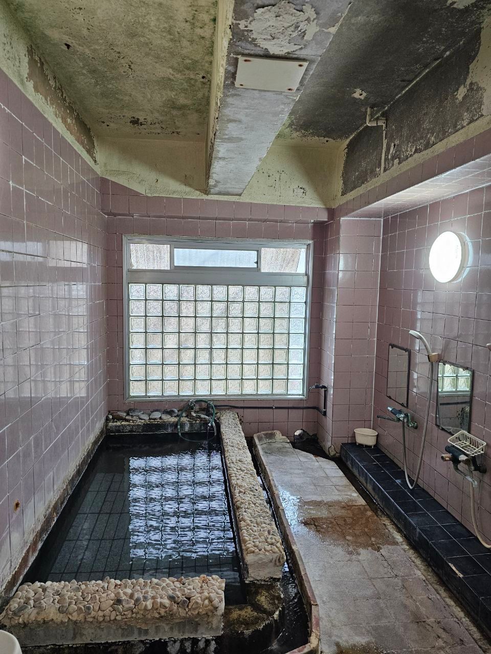 Kotobuki — photo 2