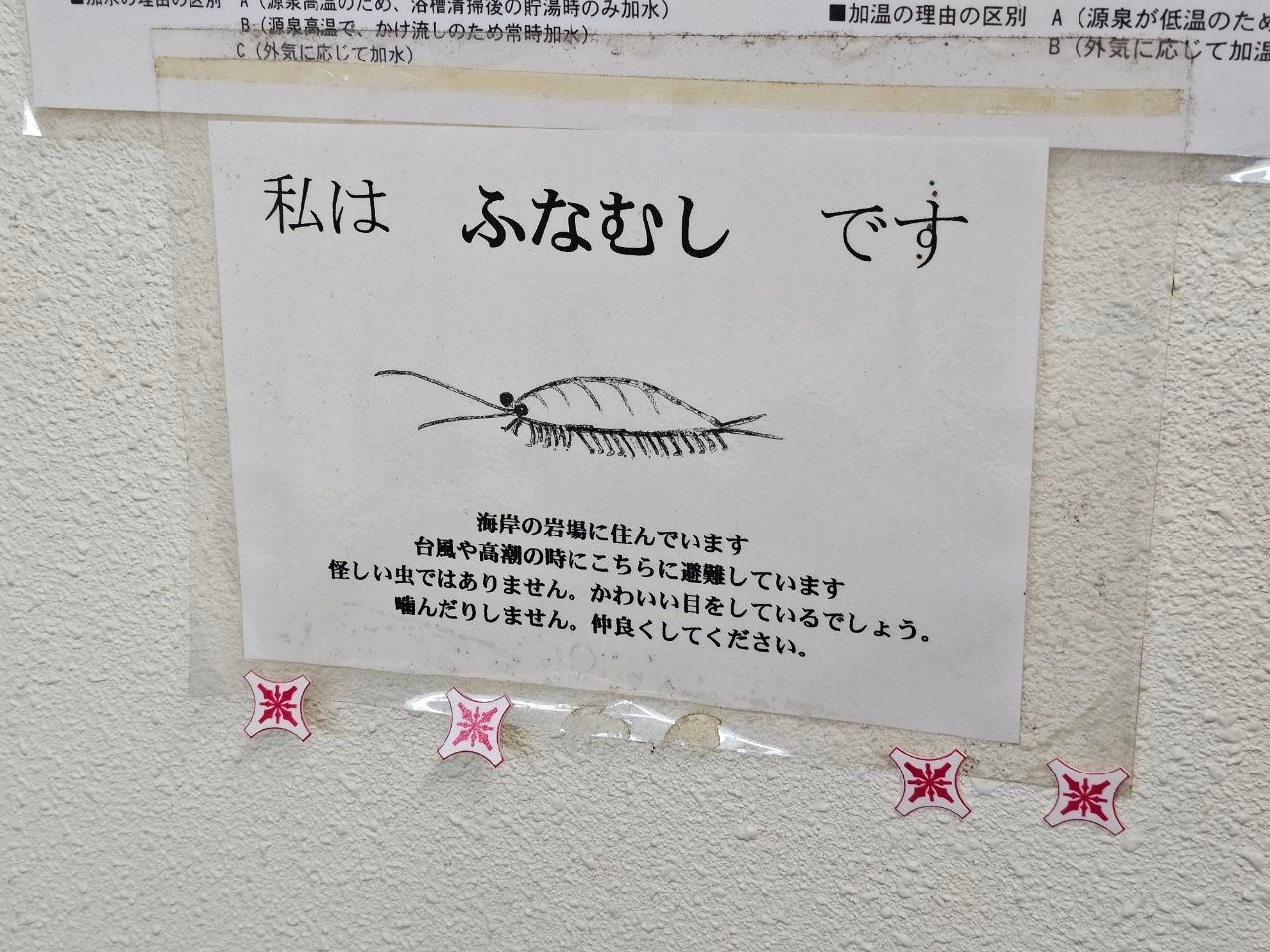 Kotobuki — photo 4