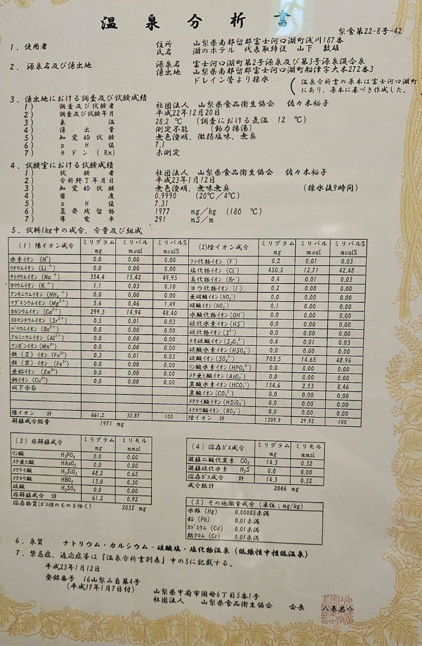 Mizuno Hotel — photo 4
