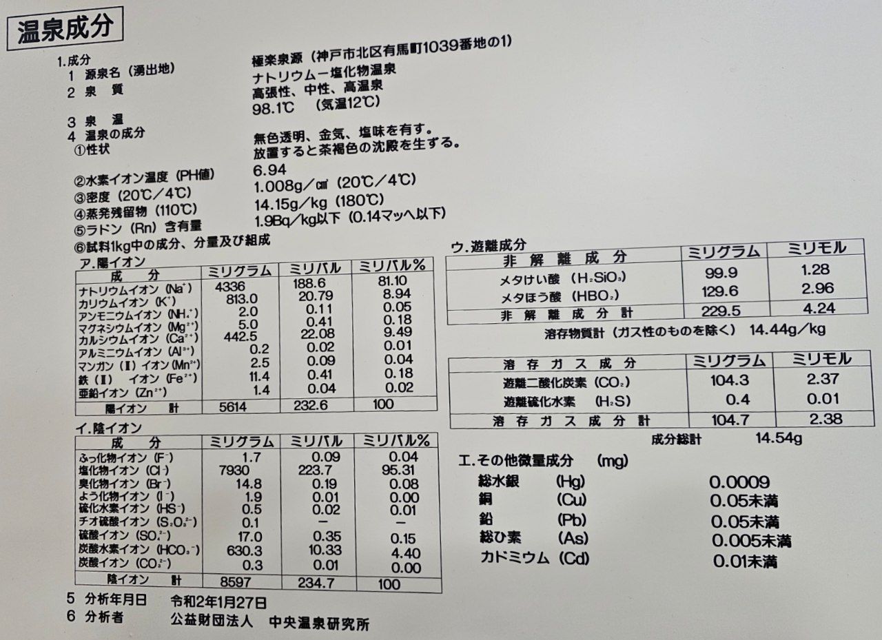 Arima Hot Spring Ryokan Hanamusubi — photo 4