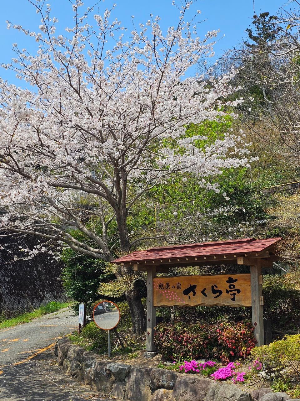 Superb view of the inn Sakuratei — photo 1