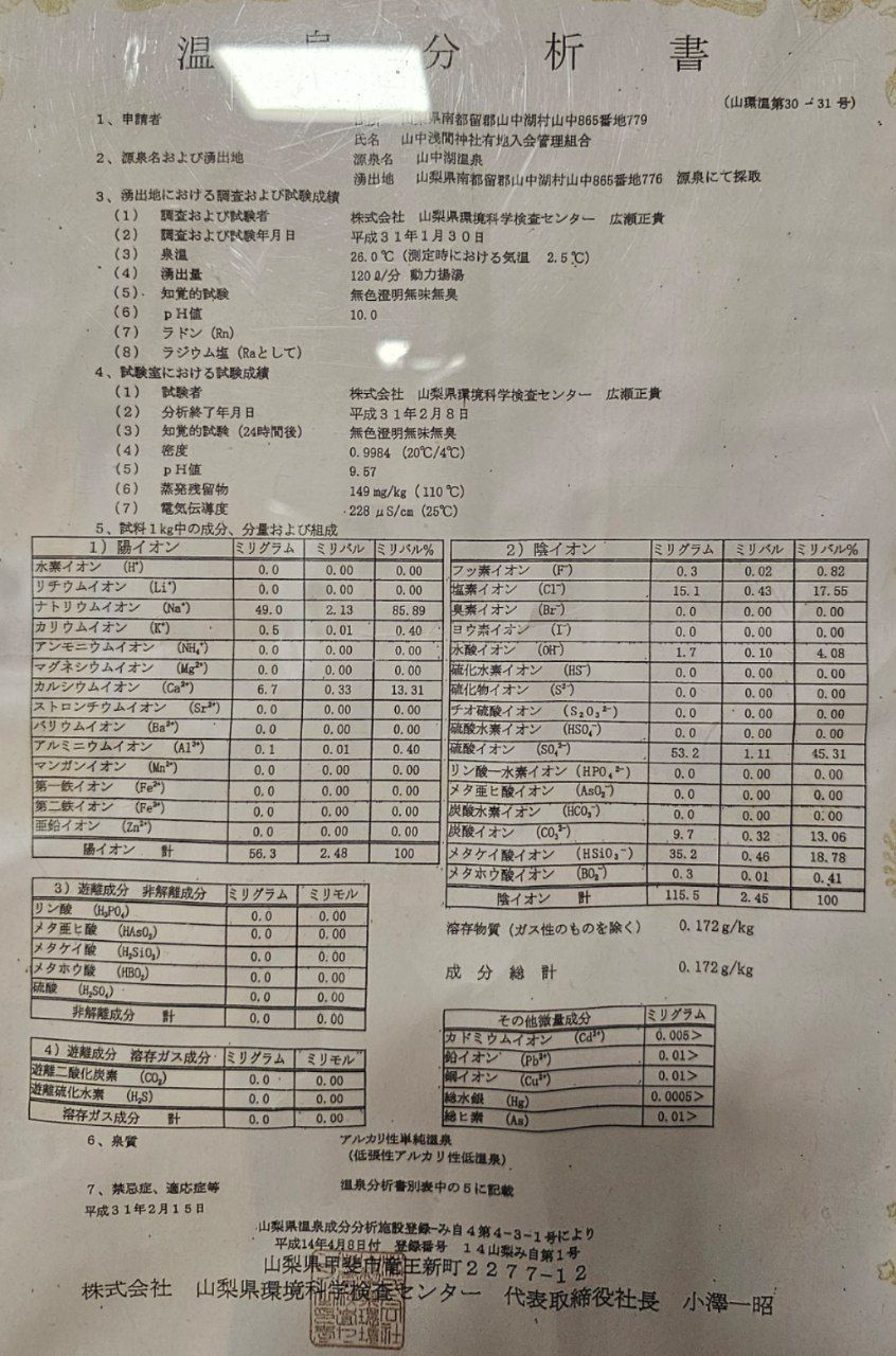 Yamanakako Onsen Benifuji no Yu hot spring — photo 8