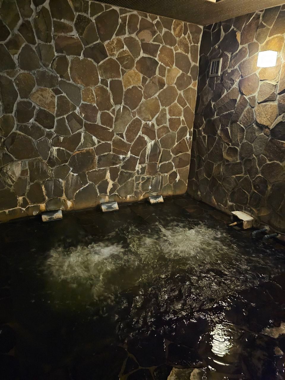 Kansai Airport Spa Hotel Garden Palace — photo 5